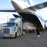 Inland Transportation Project Forwarding and logistics